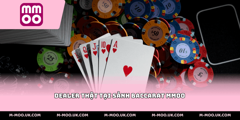 Dealer thật tại sảnh baccarat MMOO