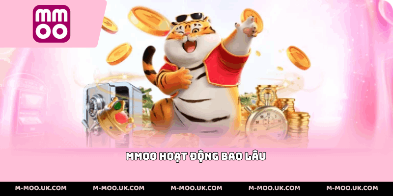 MMOO Hoạt Động Bao Lâu